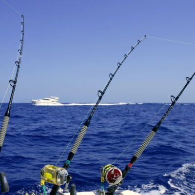 Safari & Fishing Adventures